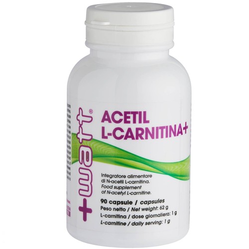 Watt acetil carnitina - acetil, 90